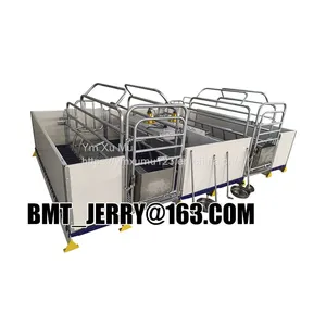 Hot Dip Galvanized Customized Size Sow Farrowing Cage for Swine Farm thumbnail-1
