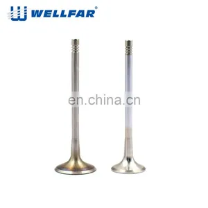 Wellfar High Quality Europea 21-4N Engine Parts Oe 06D 109 611H C7 Intake And Exhaust Engine Valves thumbnail-4