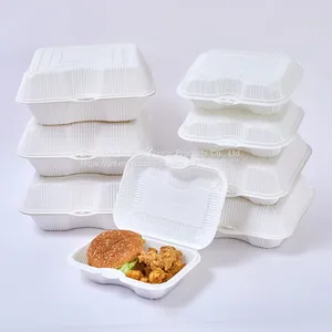 Customize PP Hinged Packaging Tray Clamshell Blister Food Container Togo 2 Compartment Fast Food Lunch Food Box thumbnail-5