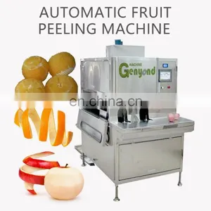 CHINA New Creative Fruit Processing Machinery Fruit Process Line Vegetable Processing Machine thumbnail-2