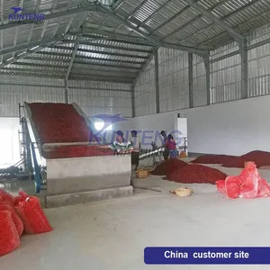 Stainless Steel Continuous Vegetables Drying Machine Fruits Drying Processing Line thumbnail-3