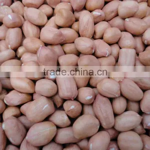 Best Selling Products New Wholesale Peanuts Raw Peanuts for Sale thumbnail-6