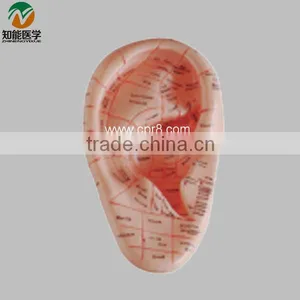 Ear Massage Model 23cm BIX-Y1026 thumbnail-1