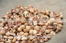 Betelnut Premium Quality thumbnail-5