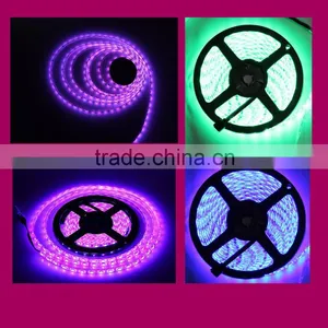 Fullbell 5050 Smd 2 Years Warranty 60leds Dc12v Led Decorative Lighting thumbnail-1