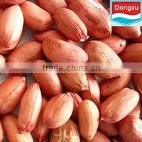High Quality Peanut thumbnail-1