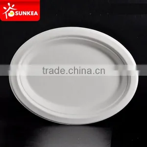 100% Environment-friendly Biodegradable Pulp Plate Made of Sugarcane Bagasse thumbnail-1