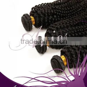 Brazilian Unprocessed Virgin Afro Kinky Curly Human Hair Weaving thumbnail-6
