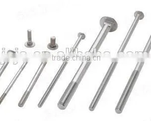 China Supply Formwork Steel Construction Material Head Carriage Bolt thumbnail-2