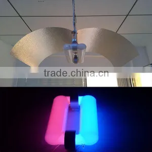 40w-300w Induction Grow Lamp thumbnail-4