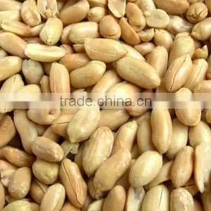 XiangNong Salted Peanuts thumbnail-1