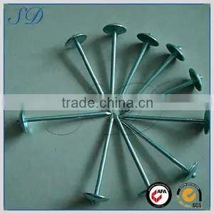 Attractive Price High Quality Spring Spike Nail thumbnail-1