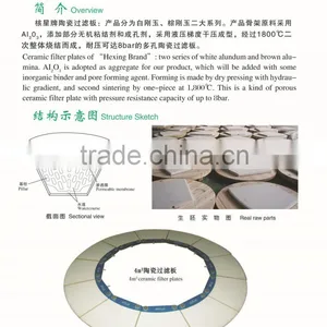 Ceramic Disc Plate thumbnail-1
