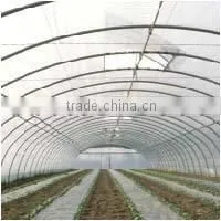 Greenhouse Tunnel thumbnail-1
