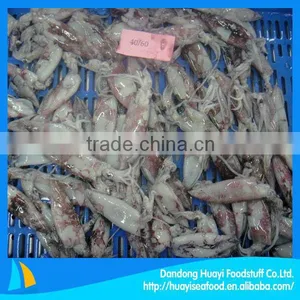Best High Quality Frozen Squid Wholesale thumbnail-1