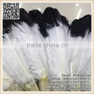 Bridal Costume Wings Feather Black Tip Turkey Feather thumbnail-2
