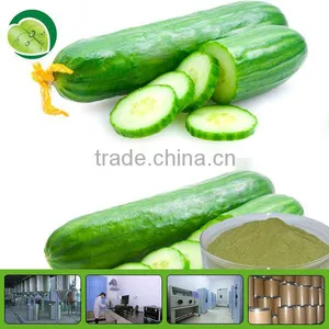 Cucumber Extract Powder thumbnail-1