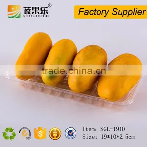 OEM Design PET Blister Vacuum Forming Plastic Tray thumbnail-3