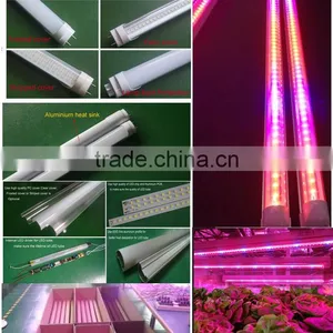 Agriculture Product t8 Led Tube Grow Light Plant Grow Lights 5-15watt Cob Led Grow Lights thumbnail-4