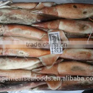 Frozen Illex Argentinus Squid thumbnail-1