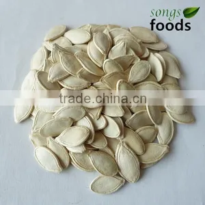 Pumpkin Names of Edible Seeds thumbnail-1