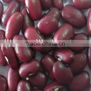 Chinese Small Red Kidney Beans Crop 2014 Factory 100% thumbnail-1
