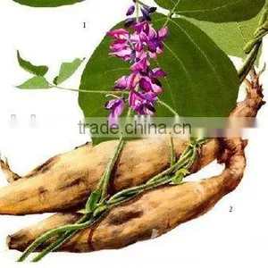 Manufacture High Quality Nutrition Factory Pueraria Lobata Flour,puerarin Flour thumbnail-2