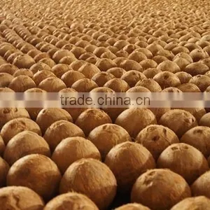 Fresh Coconut thumbnail-1