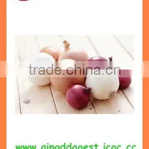 Export Best Quality Fresh Red Yellow White Onion thumbnail-3