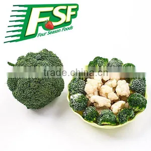 Grade A/B Frozen/IQF Broccoli in 2015,chinese Supplyier thumbnail-1