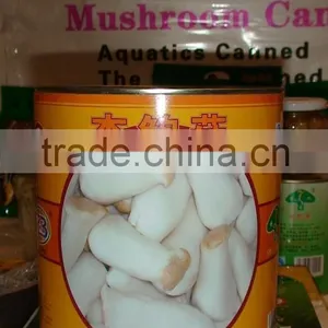Canned Pleurotus Eryngii thumbnail-5