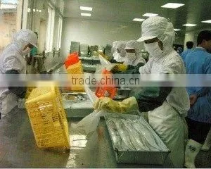 Ningbo Yinzhou Dahua Aquatic Products Factory company overview - view 1 thumbnail