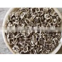 Germination and Plant Production India Seed Indian PKM1 Moringa Oleifera Seeds thumbnail-1