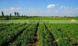 Taiyuan Mapon Humic Acid Development Co., Ltd. company overview - view 2 thumbnail