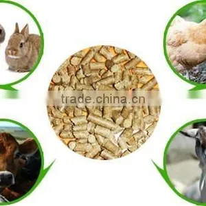 Wood Pellet Mill / Wood Pellet Maker Machine thumbnail-1