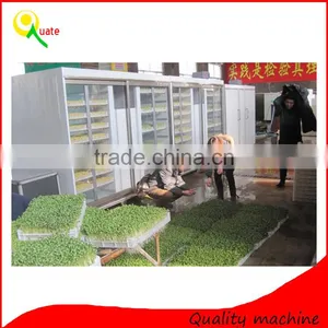 Soybean Mung Bean Sprouts Machine/bean Sprouts Making Machine/automatic Bean Sprouts Machine thumbnail-2