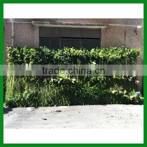 Artificial Vertical Green Wall thumbnail-2