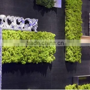 Competitive Price Plastic/artificial Plant Wall for Landscaping thumbnail-1