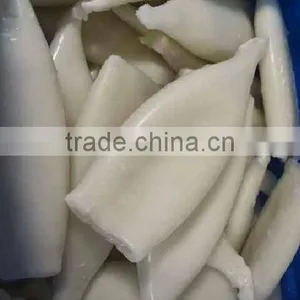 Frozen Squid Tube U5 thumbnail-3