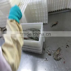 Frozen Shrimp and Seafood Manu thumbnail-1