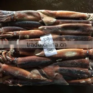 Frozen Argentina Squid Raw Material thumbnail-3