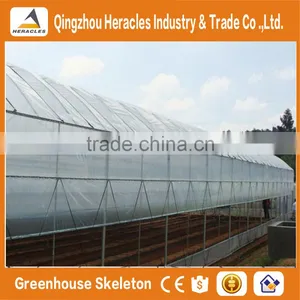 Heracles Trade Assurance Vegetable Seeds Greenhouse thumbnail-5