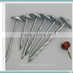 Galvanzied Roofing Nails /umbrella Head Roofing Nails thumbnail-3