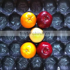 China Professional FDA&SGS Approval Disposalbe Soft PP Fruit Transporting Tray thumbnail-5