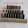 White Horse Mane thumbnail-2