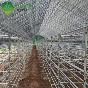 Hot Slae Agricultural Polythene Film Covered Mushroom Green House thumbnail-4