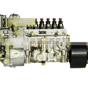 Injection Pump 10403166059,10 403 166 059 for Xichai CK3-01 Engine thumbnail-1