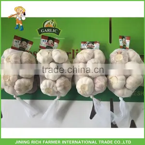 Fresh New Purple Garlic 5.0CM Fresh Red Garlic thumbnail-1