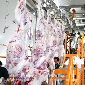 Professional Manufacture Butchery Equipment Machine For Cattle Slaughter Line thumbnail-1