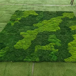 OEM Sizes of Eternal Environmental Friendly Natural Live Luxury Moss Wall or Floor for Office, Home and Public Sites Decoration thumbnail-4